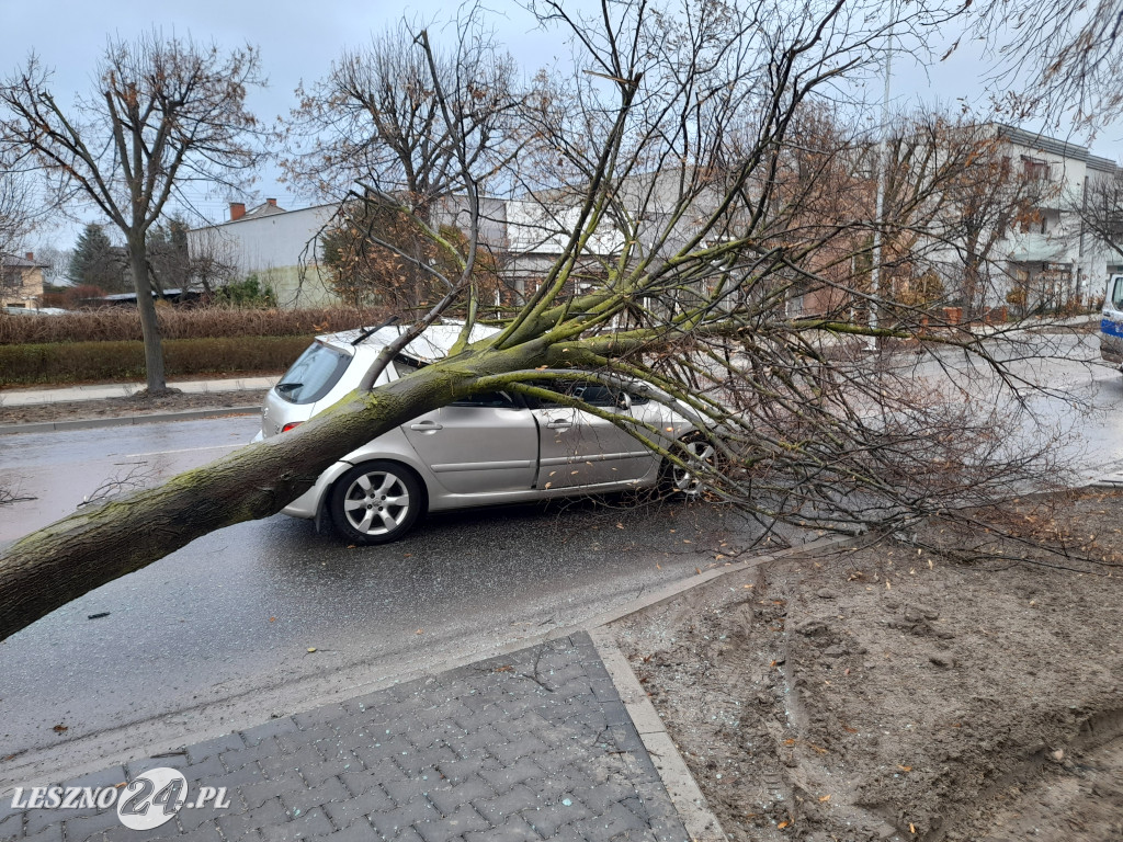 Drzewo przewróciło się na samochód