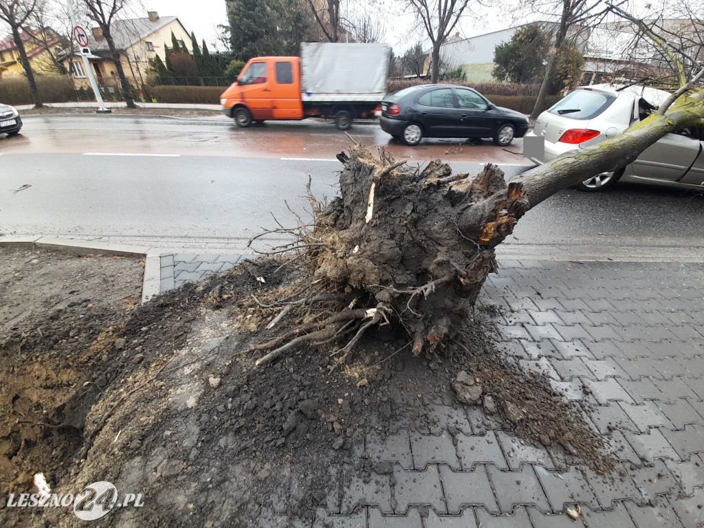 Drzewo przewróciło się na samochód