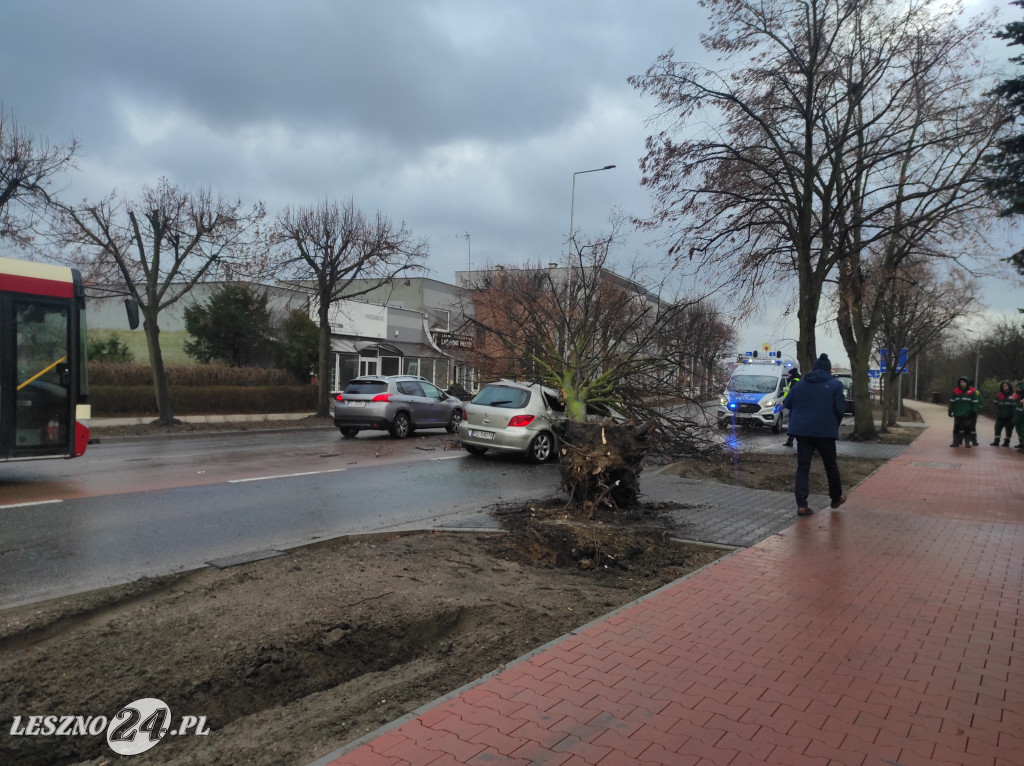 Drzewo przewróciło się na samochód