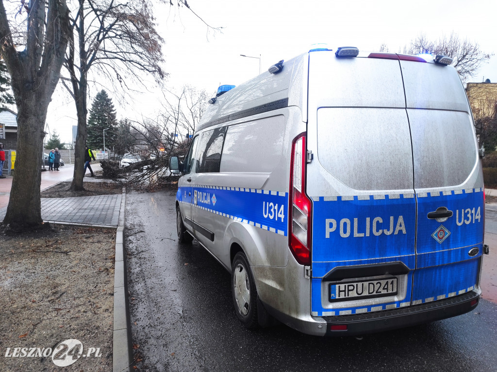 Drzewo przewróciło się na samochód