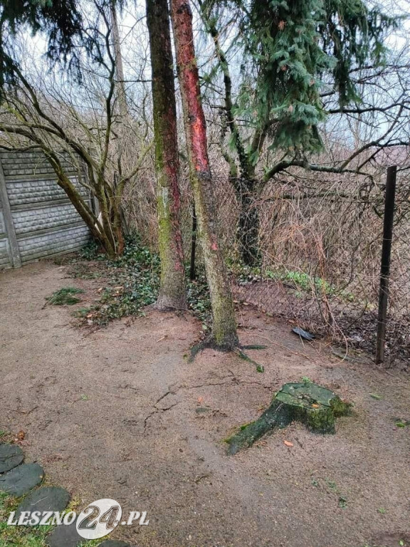 Ogromne szkody po wichurze