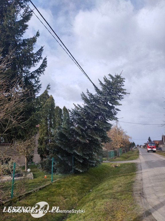 Ogromne szkody po wichurze