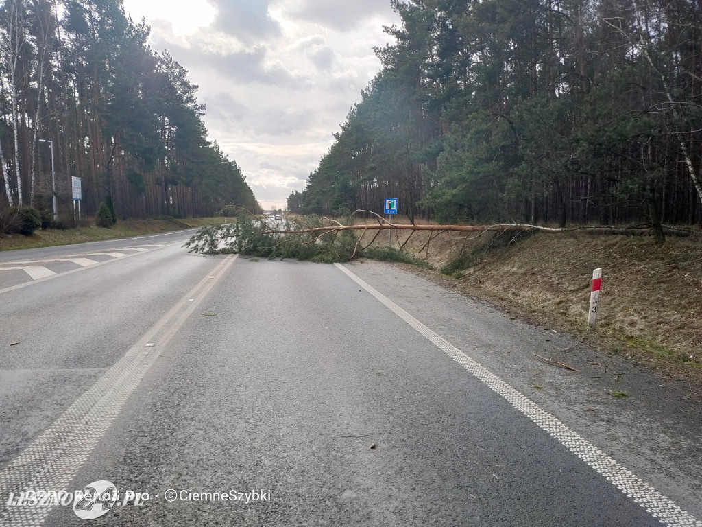 Ogromne szkody po wichurze