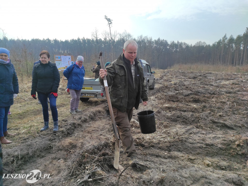 Amazonki z przyjaciółmi sadziły las
