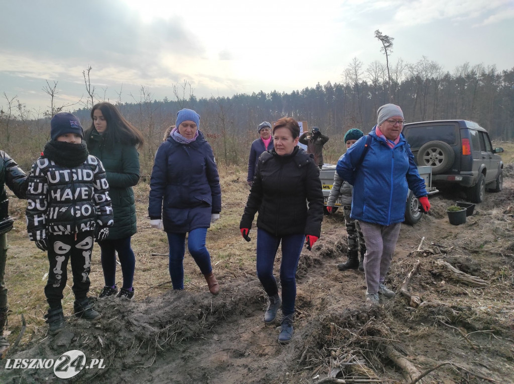 Amazonki z przyjaciółmi sadziły las