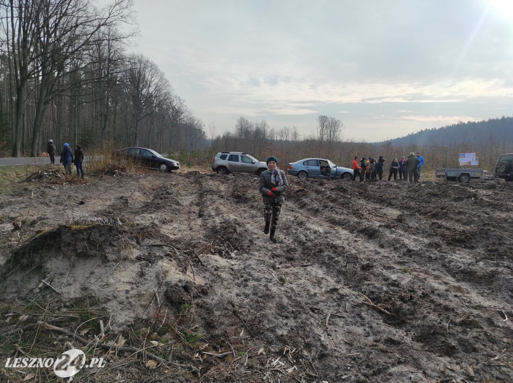 Amazonki z przyjaciółmi sadziły las