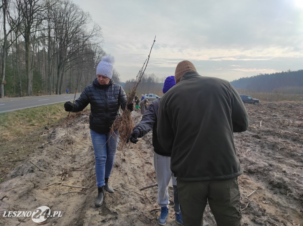 Amazonki z przyjaciółmi sadziły las