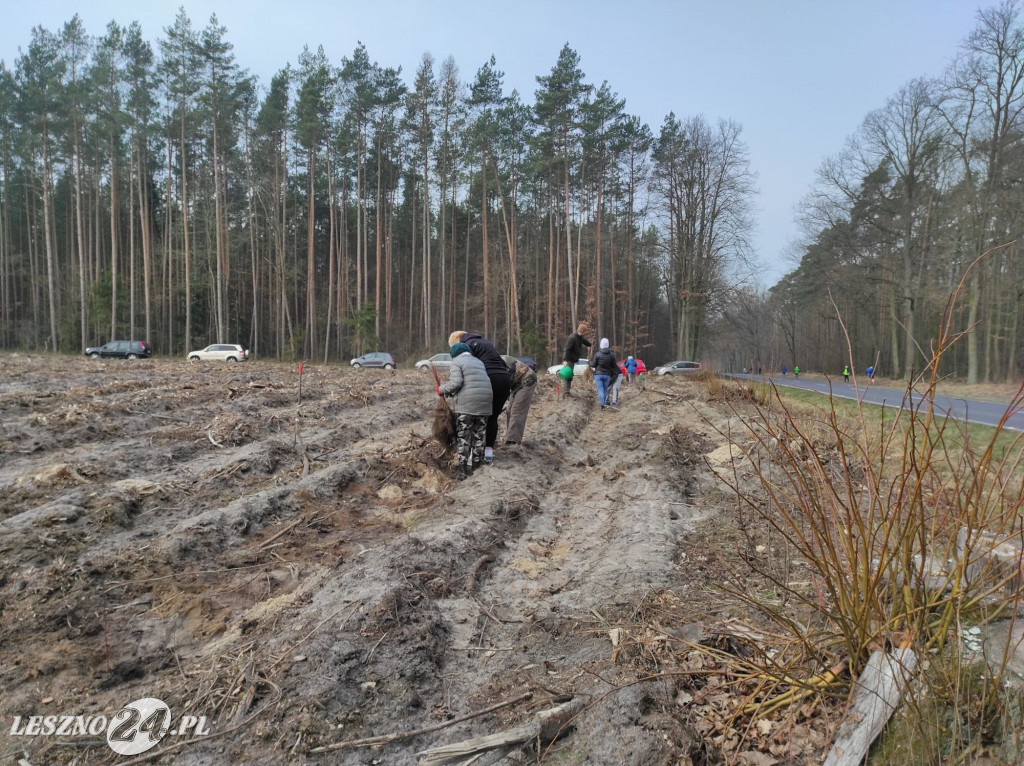 Amazonki z przyjaciółmi sadziły las