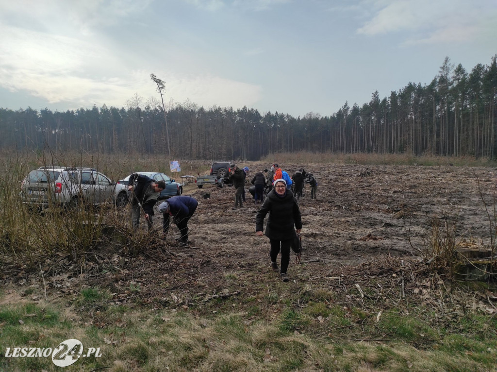 Amazonki z przyjaciółmi sadziły las