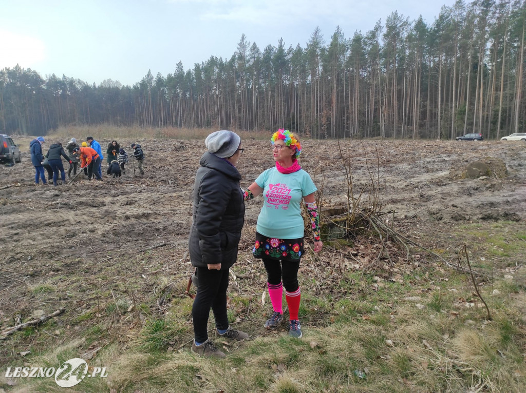 Amazonki z przyjaciółmi sadziły las