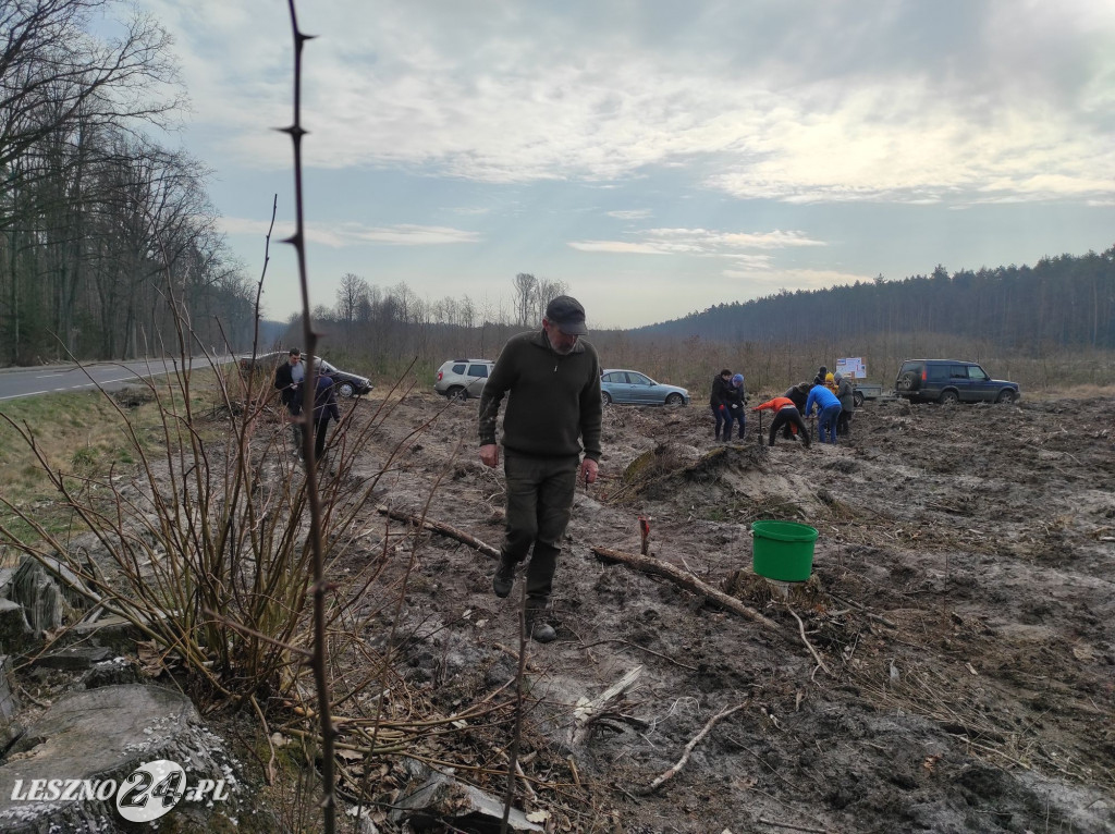 Amazonki z przyjaciółmi sadziły las