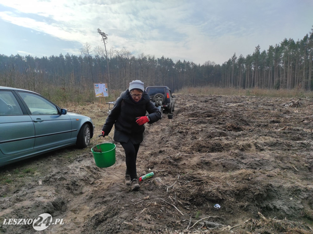 Amazonki z przyjaciółmi sadziły las