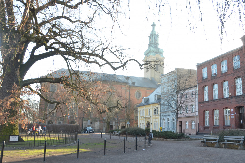 Nowy Rynek i Plac Metziga zostaną przebudowane