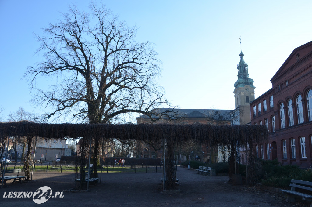 Nowy Rynek i Plac Metziga zostaną przebudowane