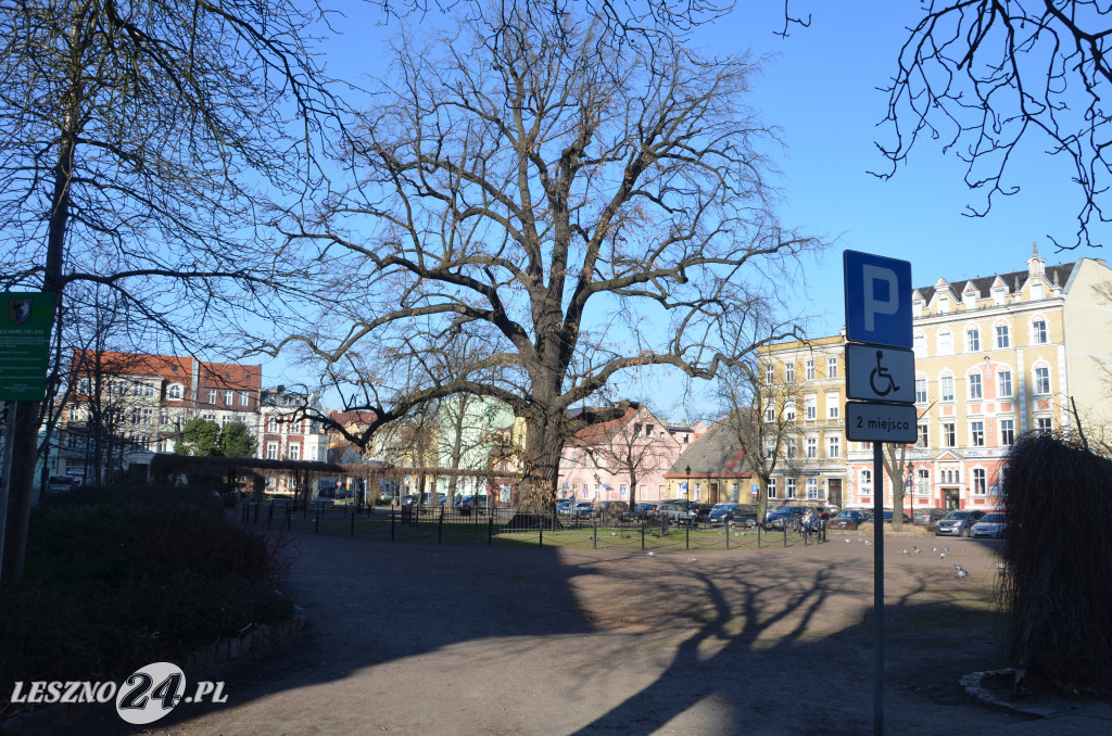 Nowy Rynek i Plac Metziga zostaną przebudowane
