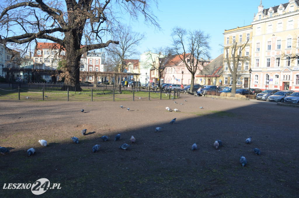 Nowy Rynek i Plac Metziga zostaną przebudowane
