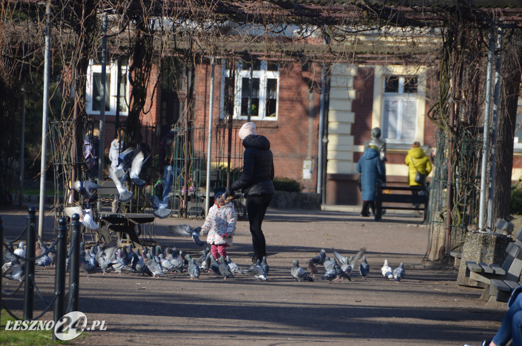 Nowy Rynek i Plac Metziga zostaną przebudowane