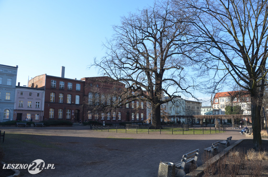 Nowy Rynek i Plac Metziga zostaną przebudowane
