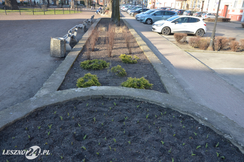 Nowy Rynek i Plac Metziga zostaną przebudowane