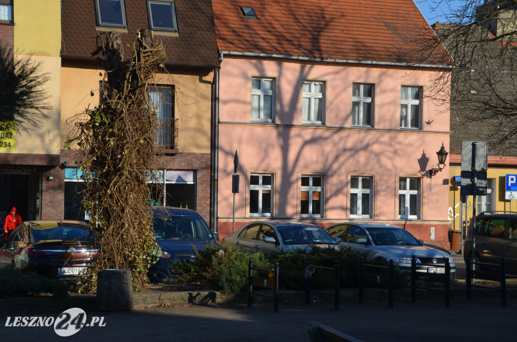 Nowy Rynek i Plac Metziga zostaną przebudowane