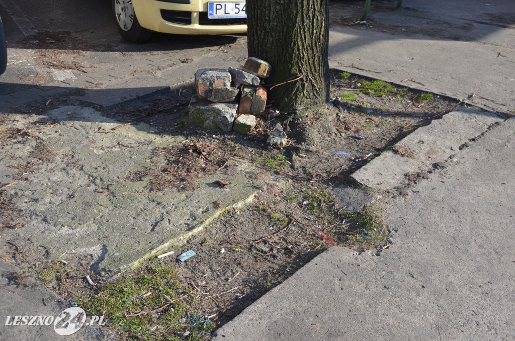 Nowy Rynek i Plac Metziga zostaną przebudowane