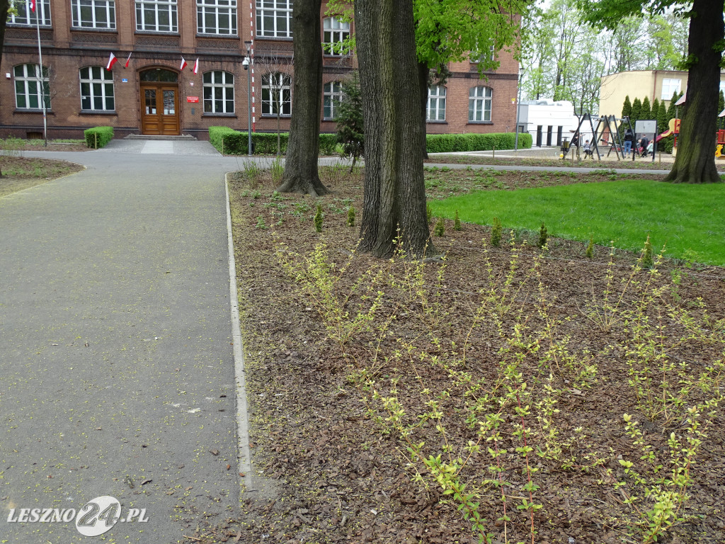 Park na placu Kościuszki otwarty