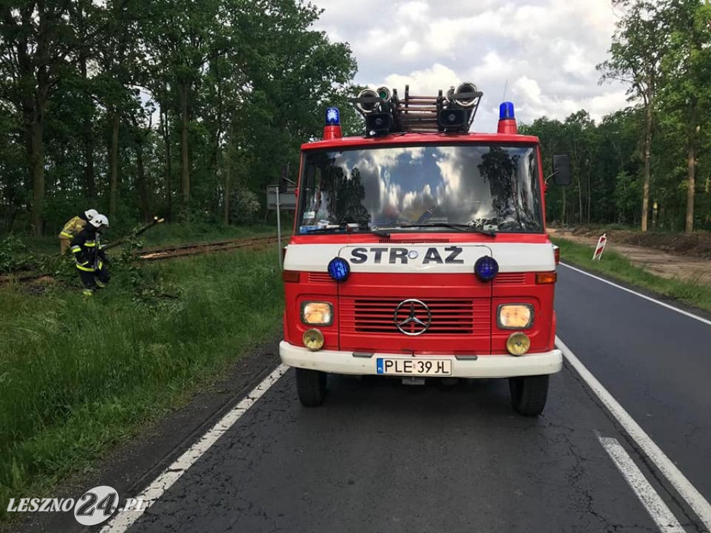 Wichura dała się we znaki