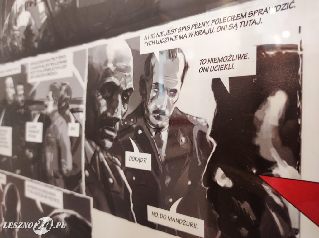 Historia Polski według komiksu