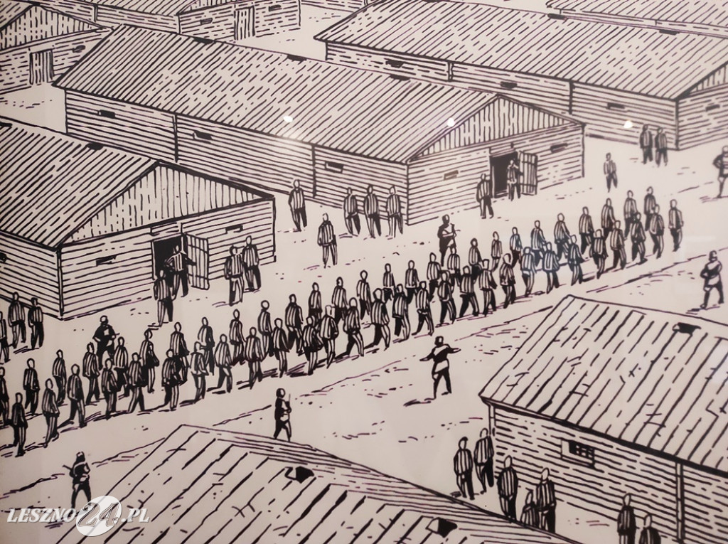 Historia Polski według komiksu