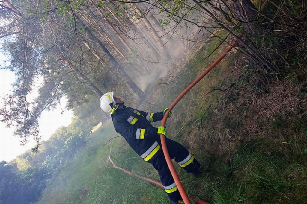 W pobliżu Smyczyny paliła się ściółka leśna