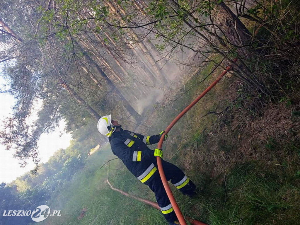 W pobliżu Smyczyny paliła się ściółka leśna