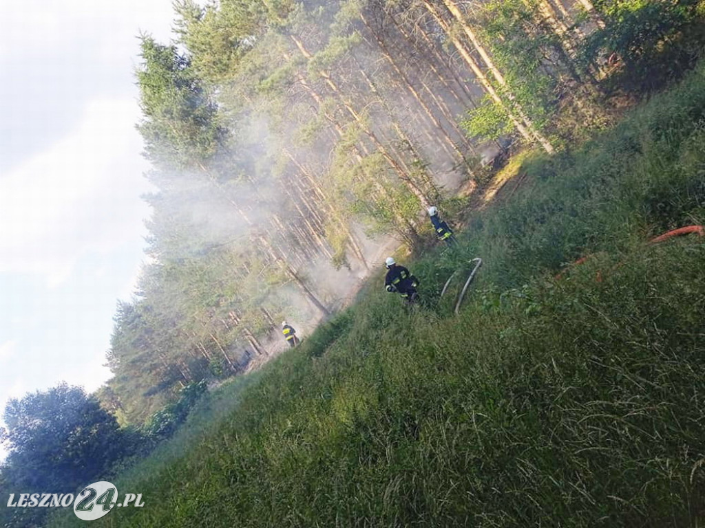 W pobliżu Smyczyny paliła się ściółka leśna