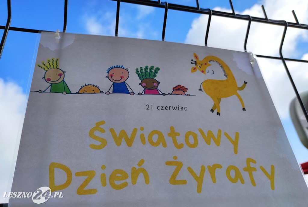 Bajkowy Las na spacerze
