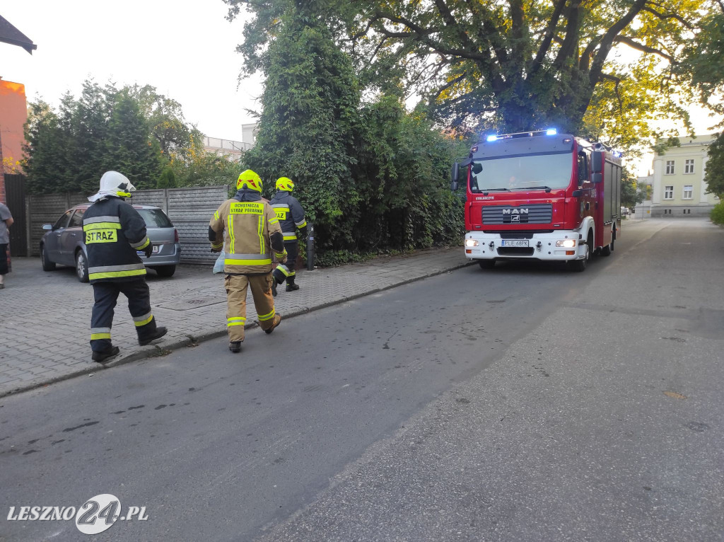 Pożar sklepu przy ulicy Cichej