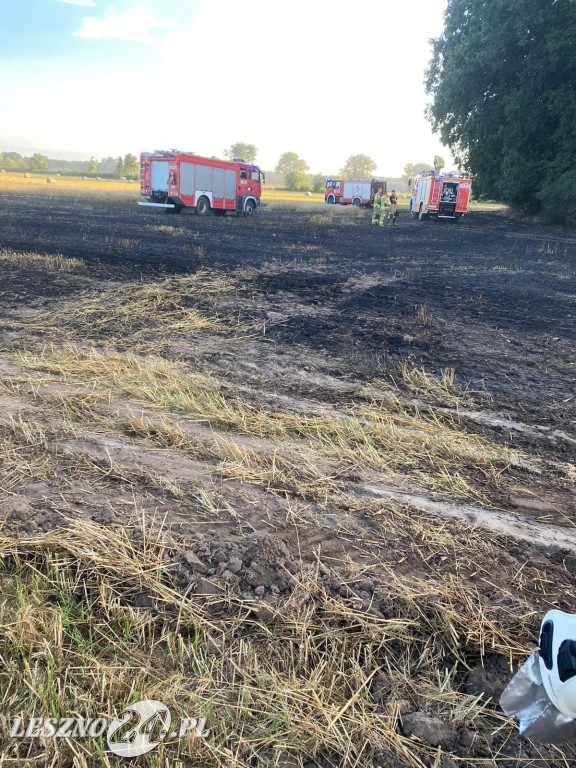 Codziennie pali się na polach