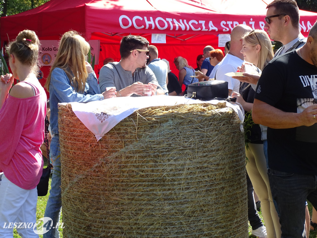 Śniadanie Farmera w Wilkowicach