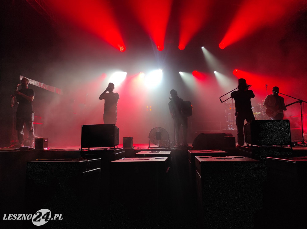 Dzień Wiatraka i koncert ENEJ w Rydzynie