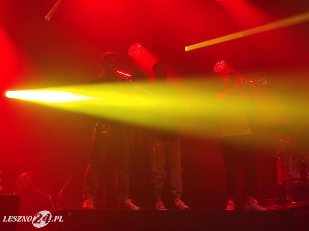 Dzień Wiatraka i koncert ENEJ w Rydzynie