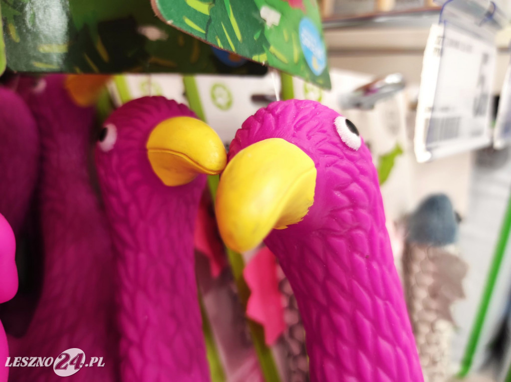 Otwarcie sklepu Dealz w Lesznie!