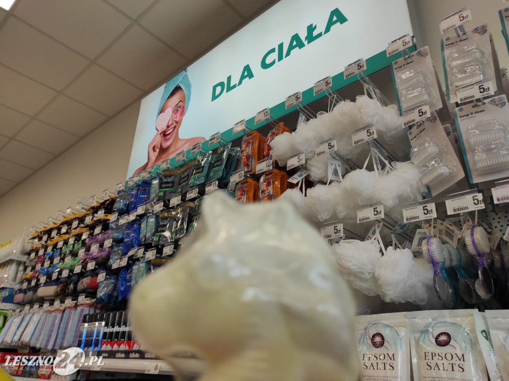 Otwarcie sklepu Dealz w Lesznie!