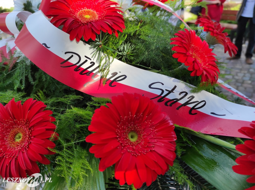 Dzień Solidarności i Wolności