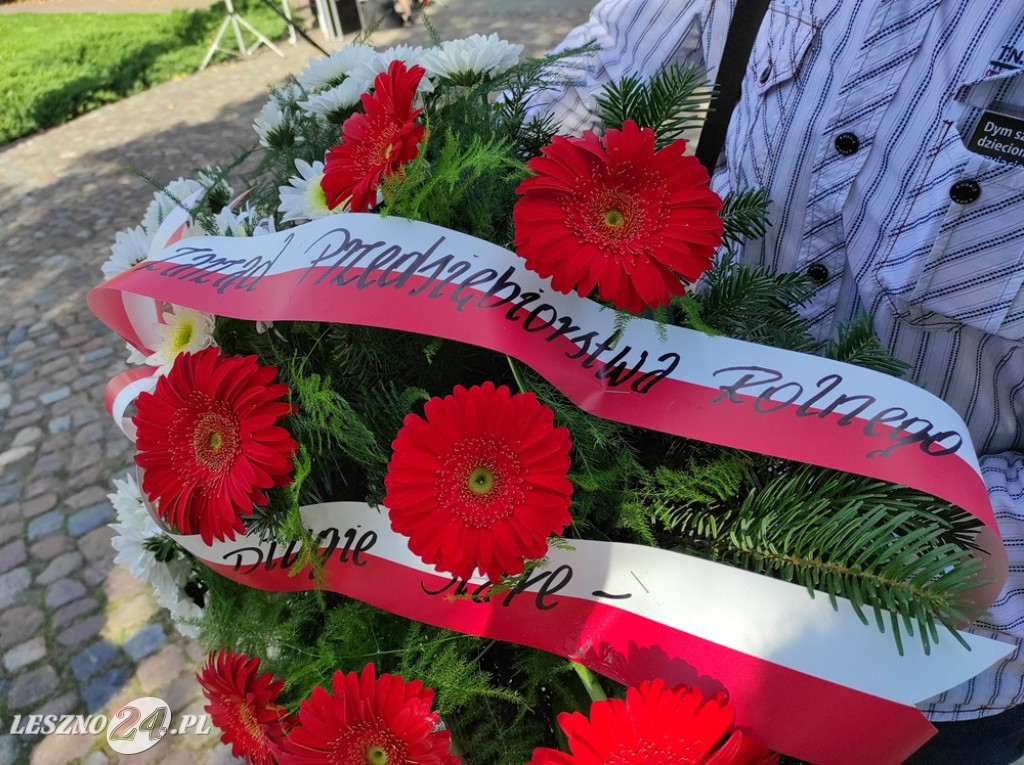 Dzień Solidarności i Wolności