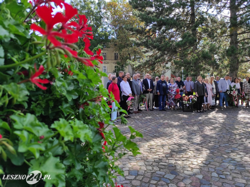 Dzień Solidarności i Wolności