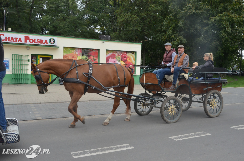 Zawody w powożeniu w Wilkowicach