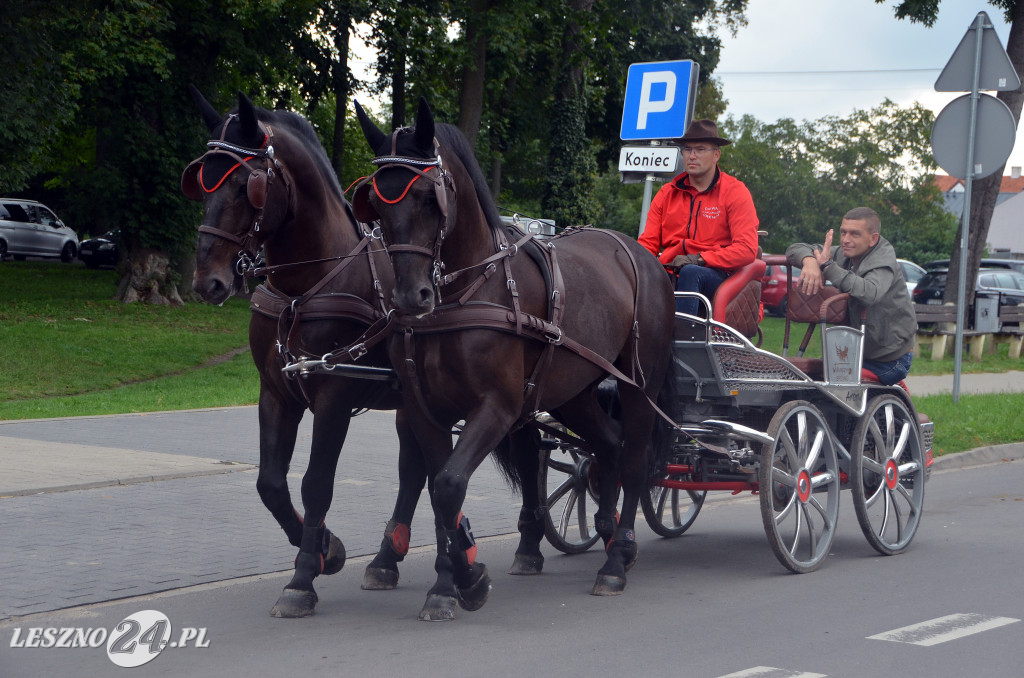 Zawody w powożeniu w Wilkowicach