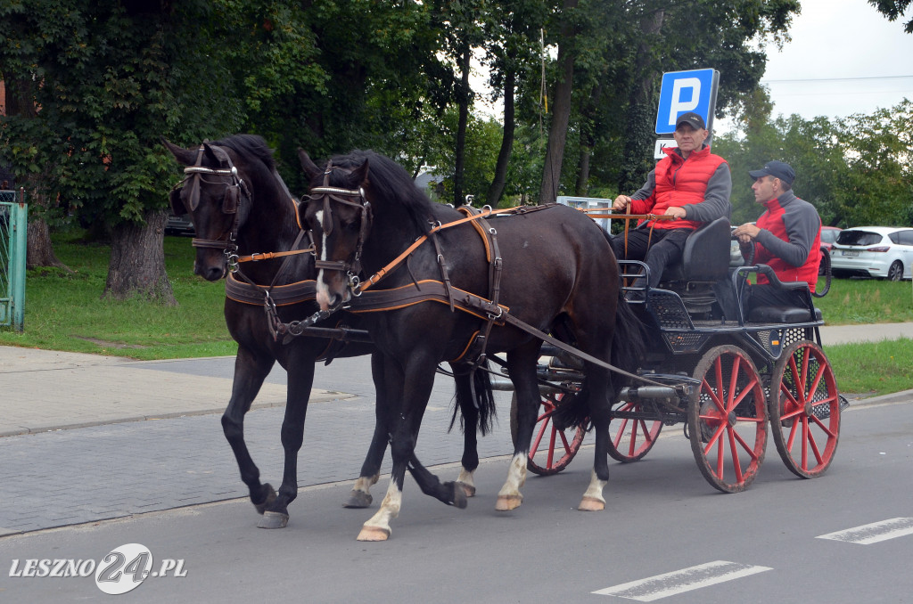 Zawody w powożeniu w Wilkowicach