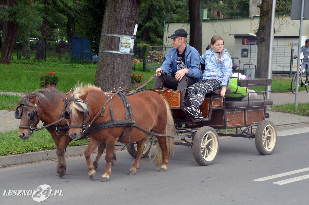 Zawody w powożeniu w Wilkowicach