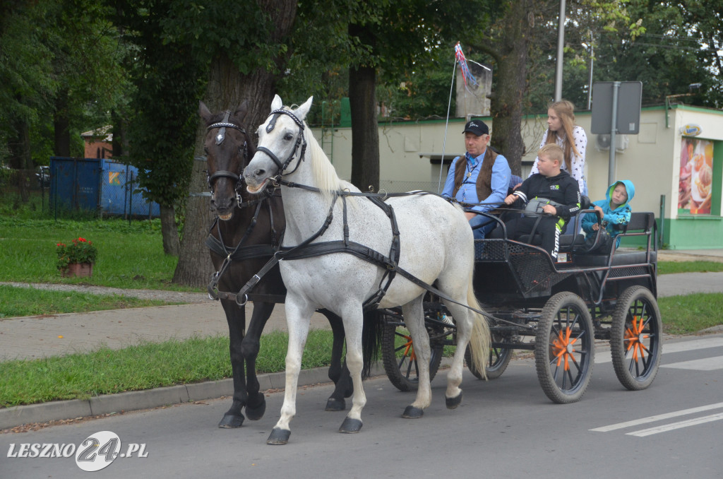 Zawody w powożeniu w Wilkowicach
