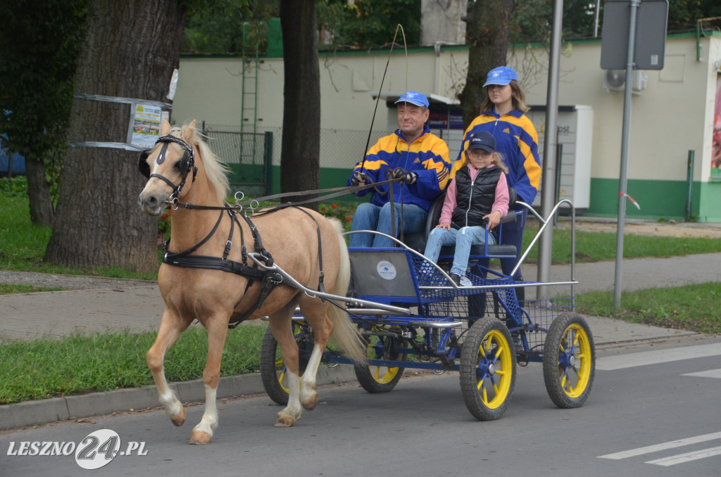 Zawody w powożeniu w Wilkowicach