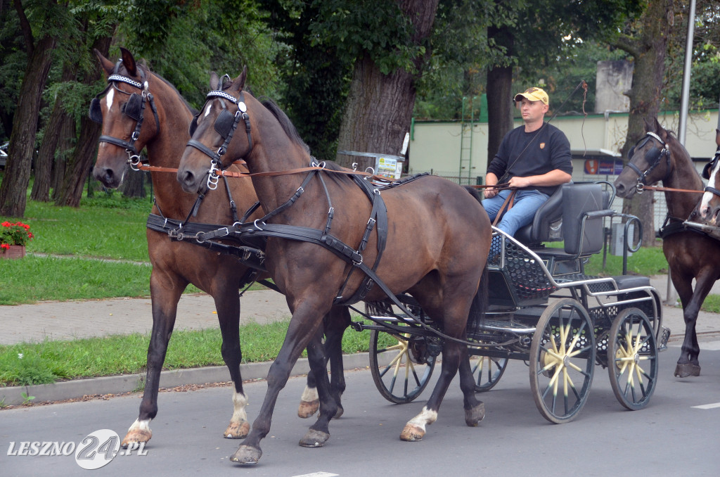 Zawody w powożeniu w Wilkowicach
